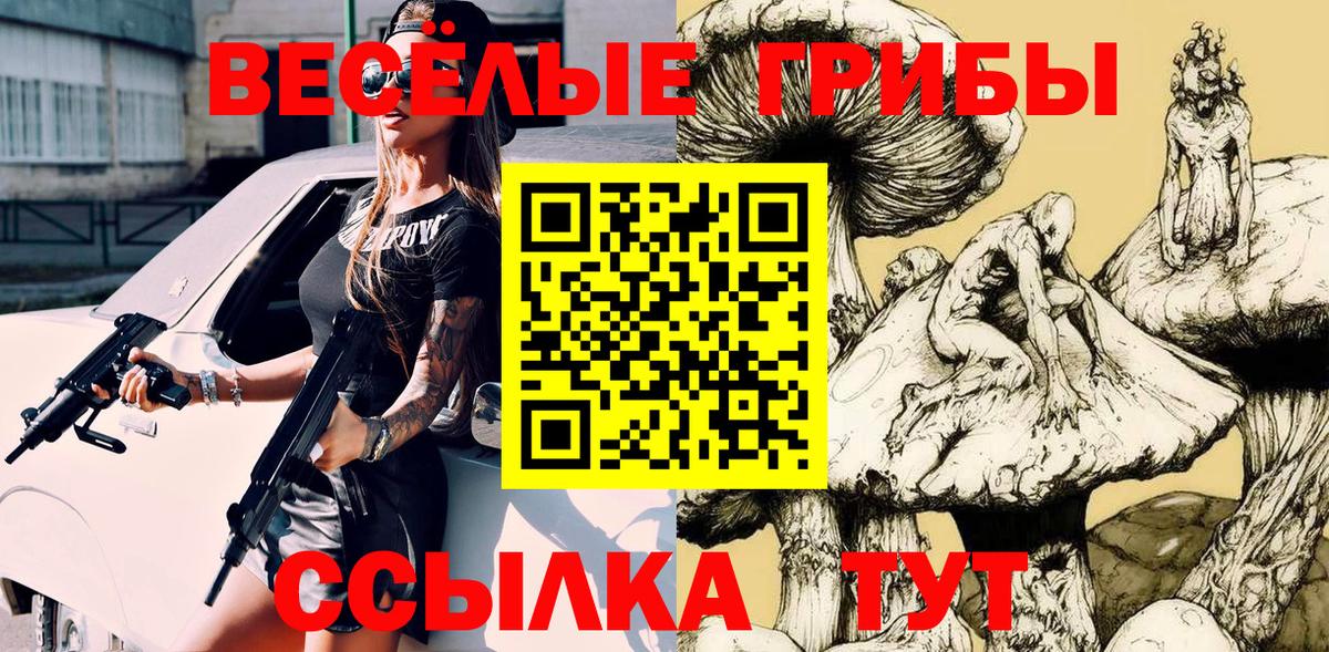 Галлюциногенные грибы GOLDEN TEACHER  Вход с VPN  Аксай  Псилоцибиновые грибы GOLDEN TEACHER 